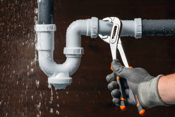 Professional Plumber technician working in Panora, IA